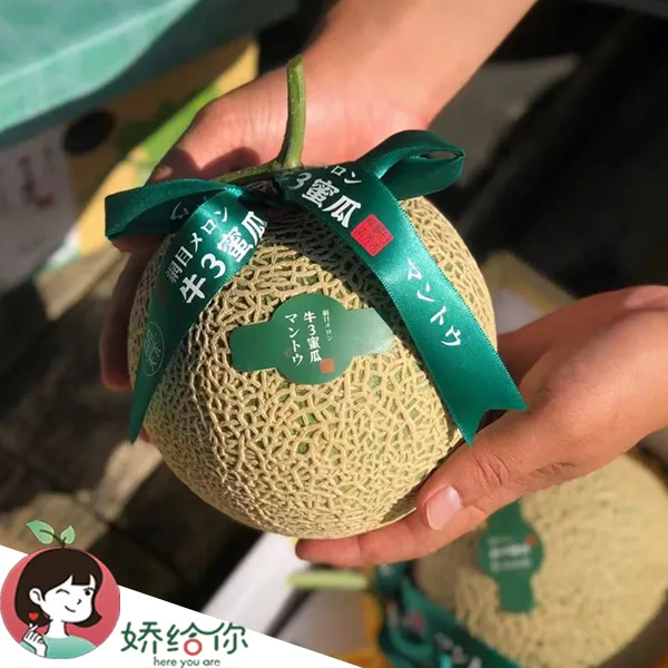 【顺丰包邮】宁夏牛3蜜瓜粗网纹软糯香甜蜜瓜2粒约5.8斤礼盒装