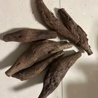 农家特产 葛根藤节带虫