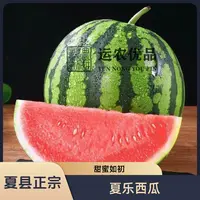 【夏乐西瓜】夏县西瓜彩虹冰激凌西瓜麒麟瓜基地直发正宗山西甜蜜蜜