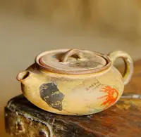 【静姐小院】常滑八破扁壶（洞尚0325）