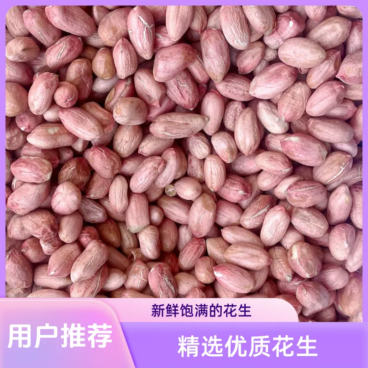 大颗粒25年新货生花生米1斤5斤10斤