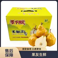 【冰淇淋不知丑梨】甜蜜 放软食用 整箱带箱5斤左右 太原晋中吕梁拍