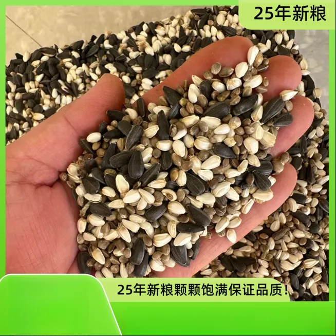 25年 新粮 蜡嘴 老三样 伴粮