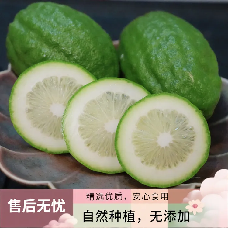 广东香水柠檬顺丰包邮正一级果三斤专用泡水无籽批发装