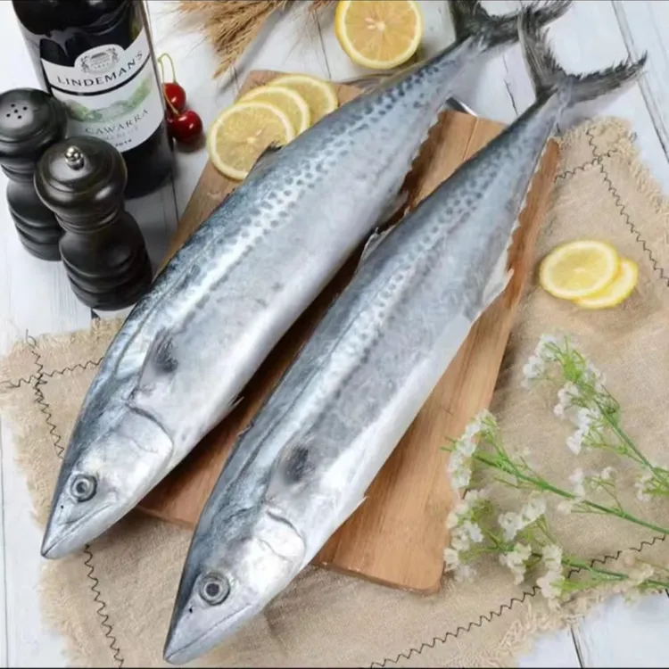 RX【到手5斤 JD包邮】渤海湾鲜活速冻燕鲅鱼马鲛鱼200-300g/条