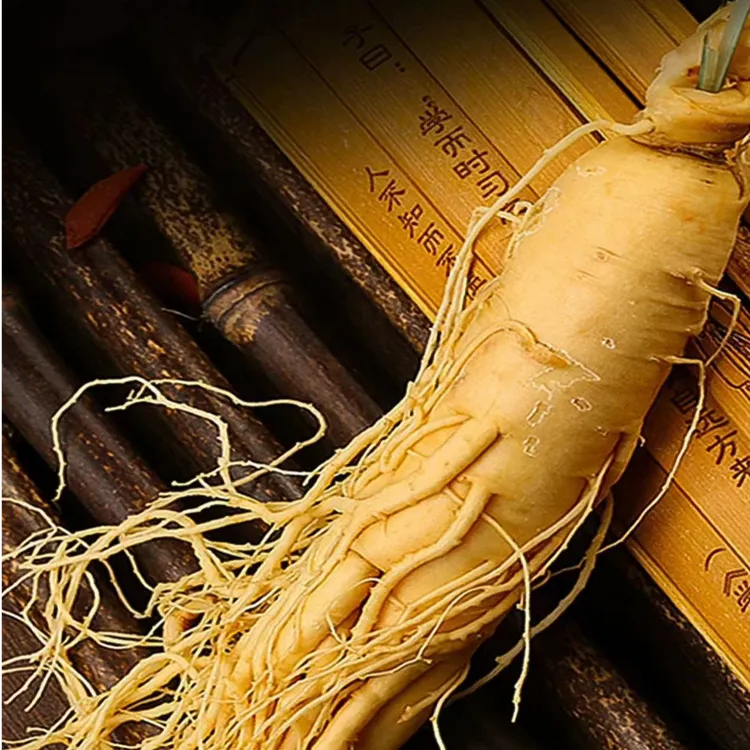 【泡酒专用】正宗长白山人参保鲜人参【拍一发二，可泡10-20斤】