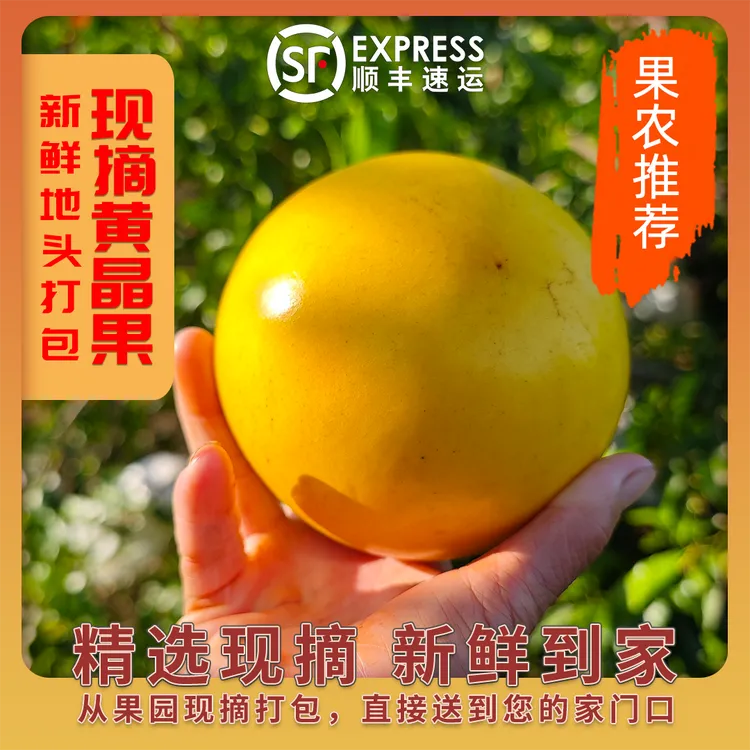 【顺丰包邮】地头现摘黄晶果雅美果亚美果黄金果加蜜蛋黄果果冻果