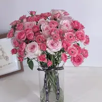 【洛神20支+苏菲多头10支】任意鲜花两单升顺丰送货上门