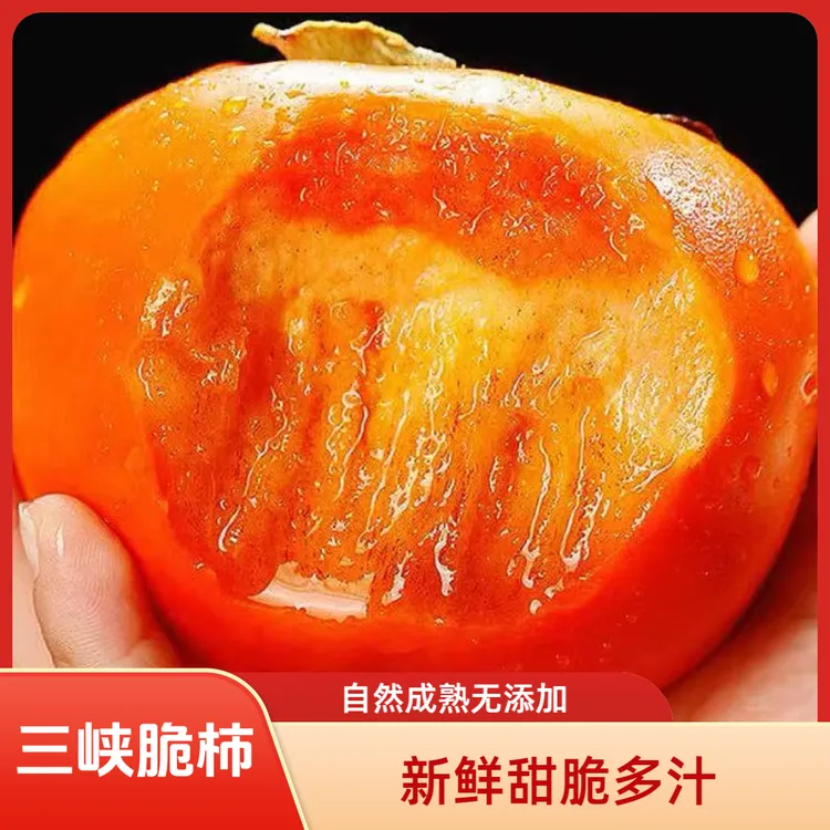 【普通快递】巧克力冰糖心脆柿子新鲜采摘应季阳丰脆柿纯甜无酸不涩