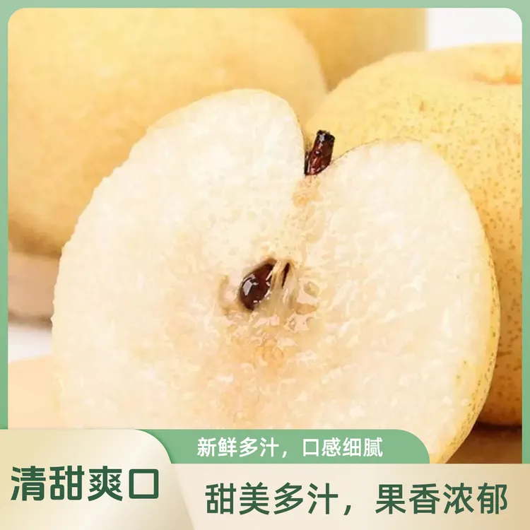 （小范真选）晋商祁县乔家酥梨 低热量新鲜水果（5斤装）中果约6-12个