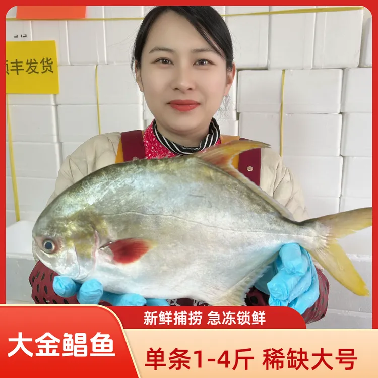【小薇】特大金鲳鱼 每条0.9-4斤 新鲜捕捞 急冻锁鲜 山东发货 顺丰