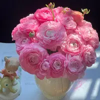  【云舍花卉】【粉色】洋牡丹 全场鲜花任意满两单及以上包邮发货