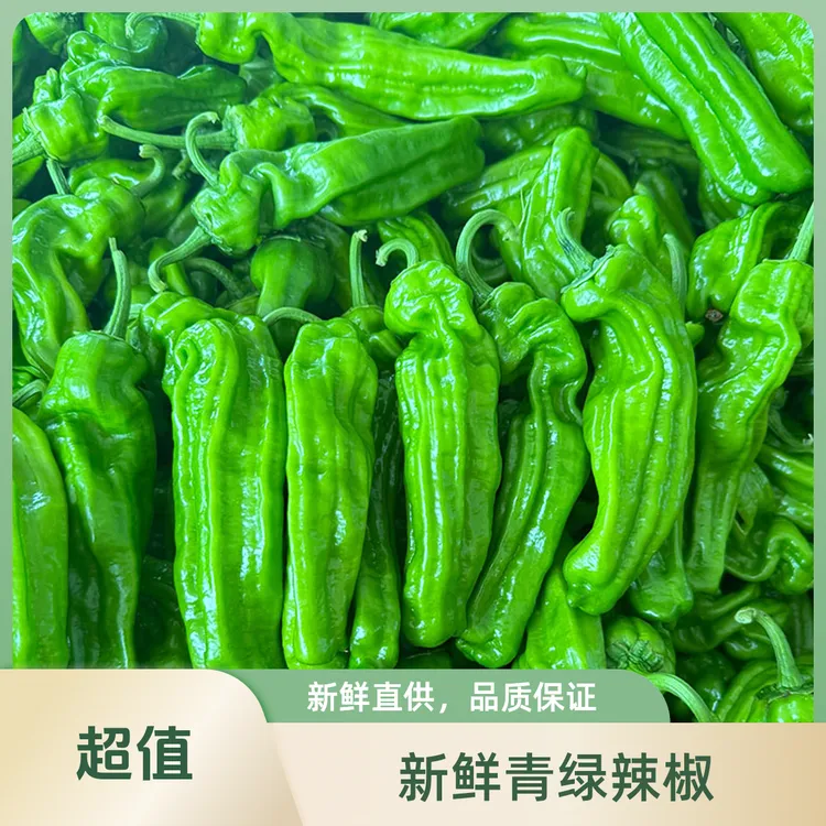 新鲜薄皮青椒微辣芜湖椒虎皮椒饭青辣椒整箱店专供