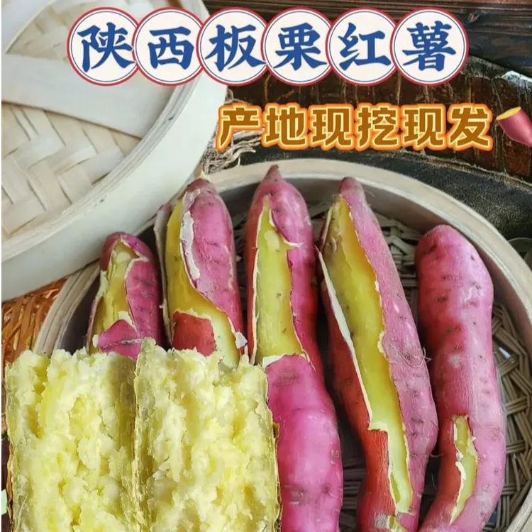 【干面香甜】陕西板栗红薯无丝新鲜先挖红薯番薯粉面地瓜粗粮5斤