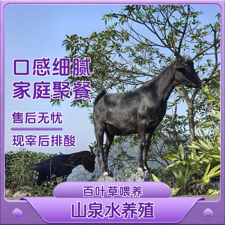 广西马山黑山羊【直播间称重改价】新鲜原生态肉质下单美味