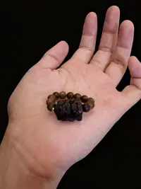 沉香越南芽庄雷料白棋沉水0.5戒指+新龙女（纹理随机）