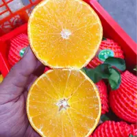 【原箱】[N]爱媛果冻橙 箱/10斤左右 仅限太原晋中吕梁忻州可拍