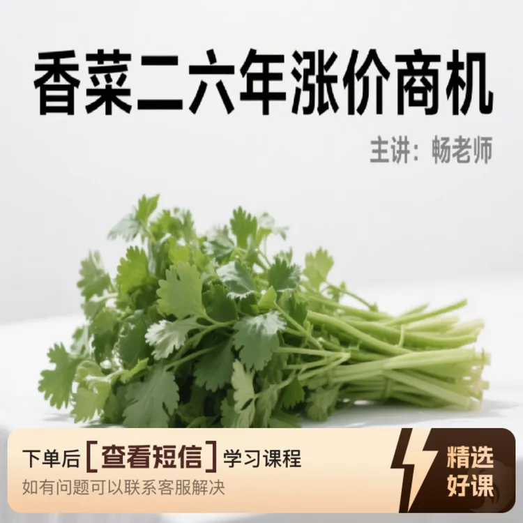 香菜二六年涨价商机（留意短信解锁课程）