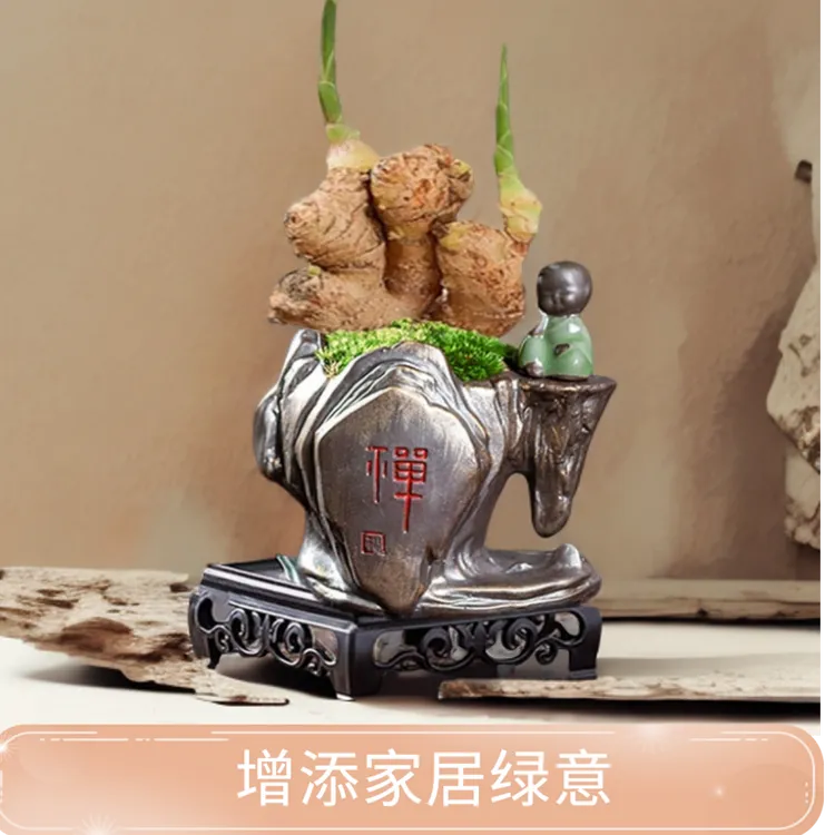 禄根盆栽带芽灵草四季好养不当生姜苗植物办公室内桌面小绿植盆景