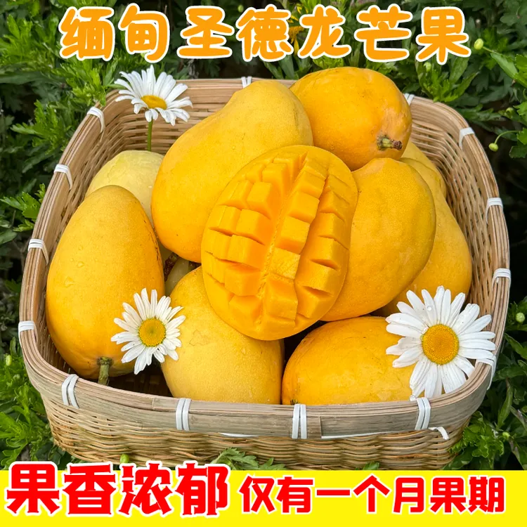 顺丰缅甸圣德龙芒果 新鲜水果精品果醇甜无丝新鲜直发顺丰包邮