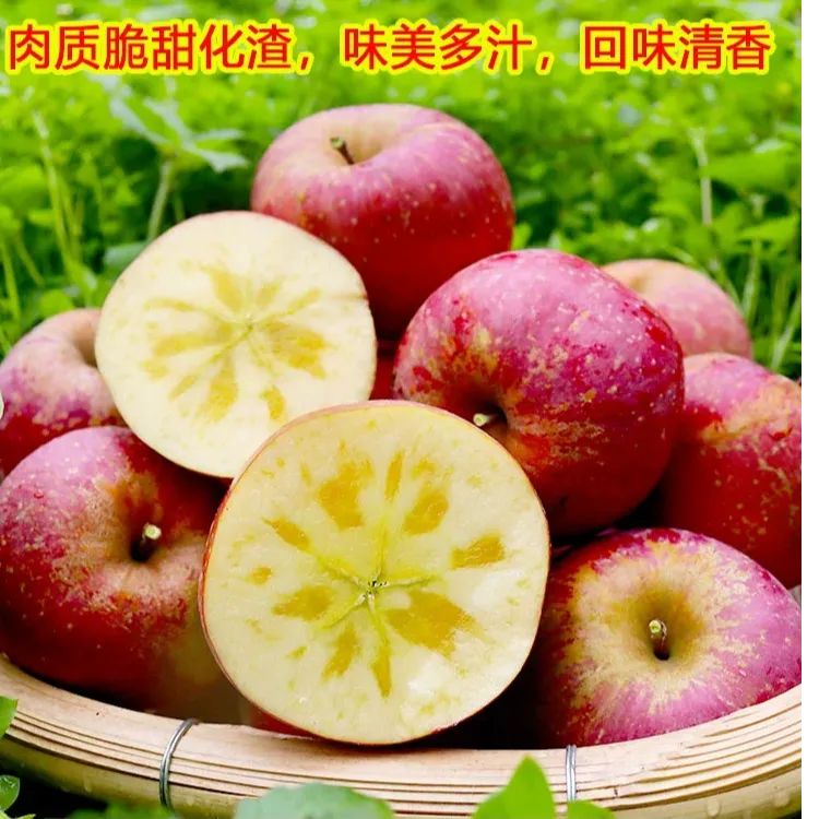 2025年新鲜现摘云南昭通冰糖心丑苹果脆甜多汁2斤/5斤