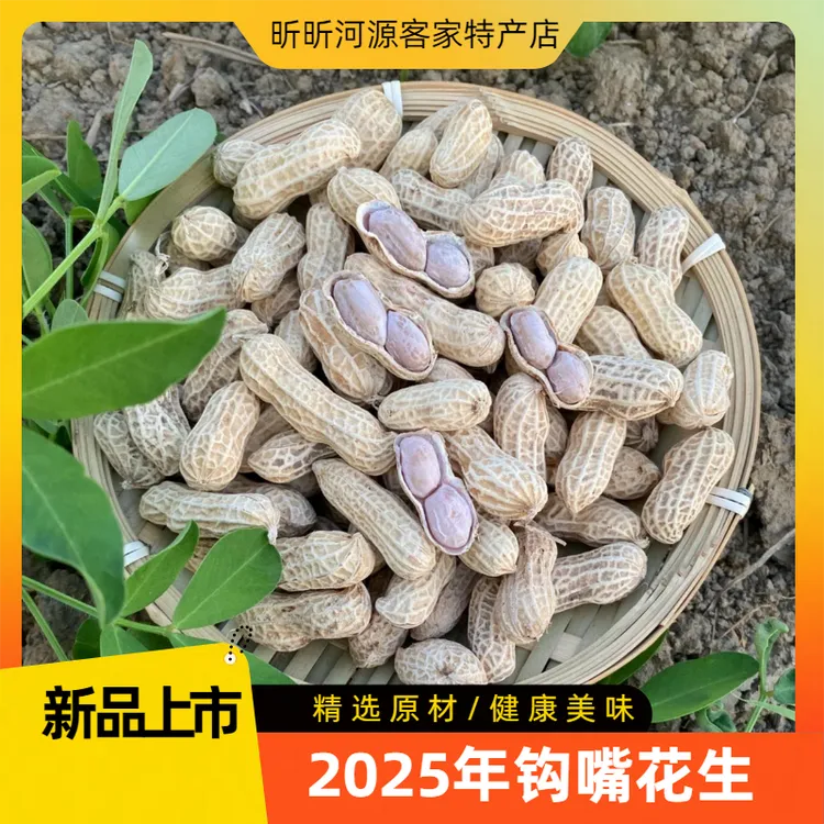 2025钩嘴花生河源客家水煮软韧好吃不热气传承手艺咸干下酒菜坚果