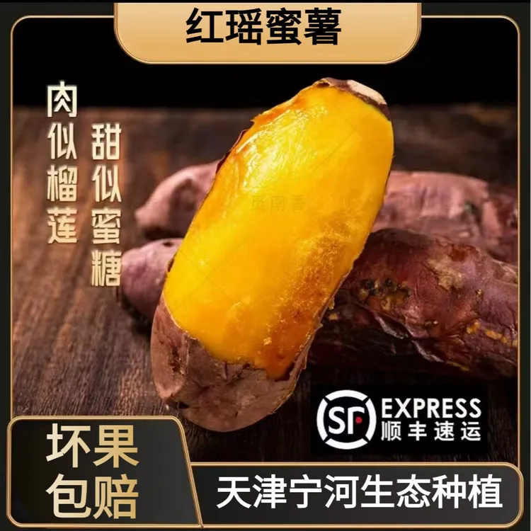 【乐呵专属】正宗天津宁河岳龙红瑶蜜薯地瓜当季新鲜番薯香甜软糯红薯顺丰包邮