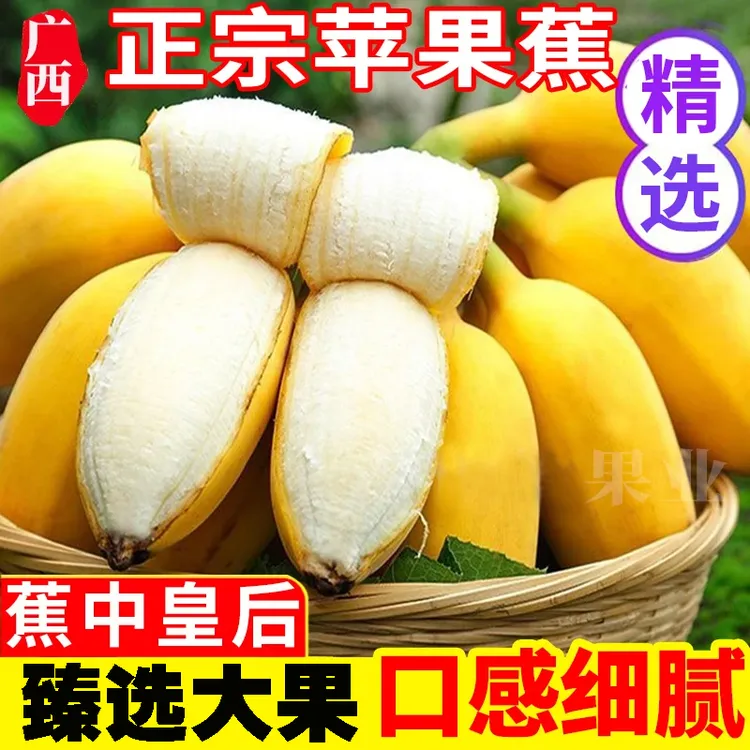 正宗广西苹果蕉产地直发现摘现发5斤3斤当季时令新鲜水果粉蕉批发