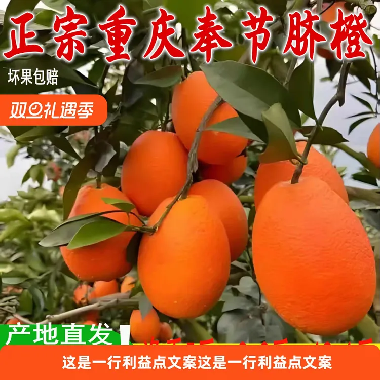 正宗重庆奉节脐橙【长虹/圆虹纽荷尔】新鲜应季水果现摘10斤装