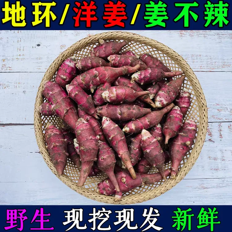 东北新鲜洋姜野生姜不辣地环菊芋腌制咸菜籽凉拌菜食用紫皮红3斤