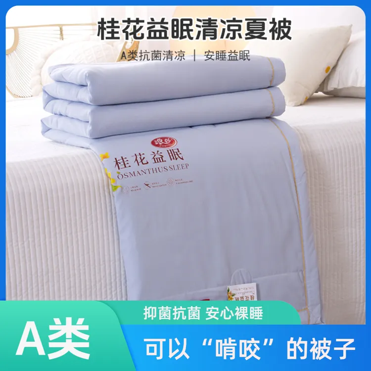 2025新款夏凉被学生宿舍夏被可机洗水洗被子桂花香