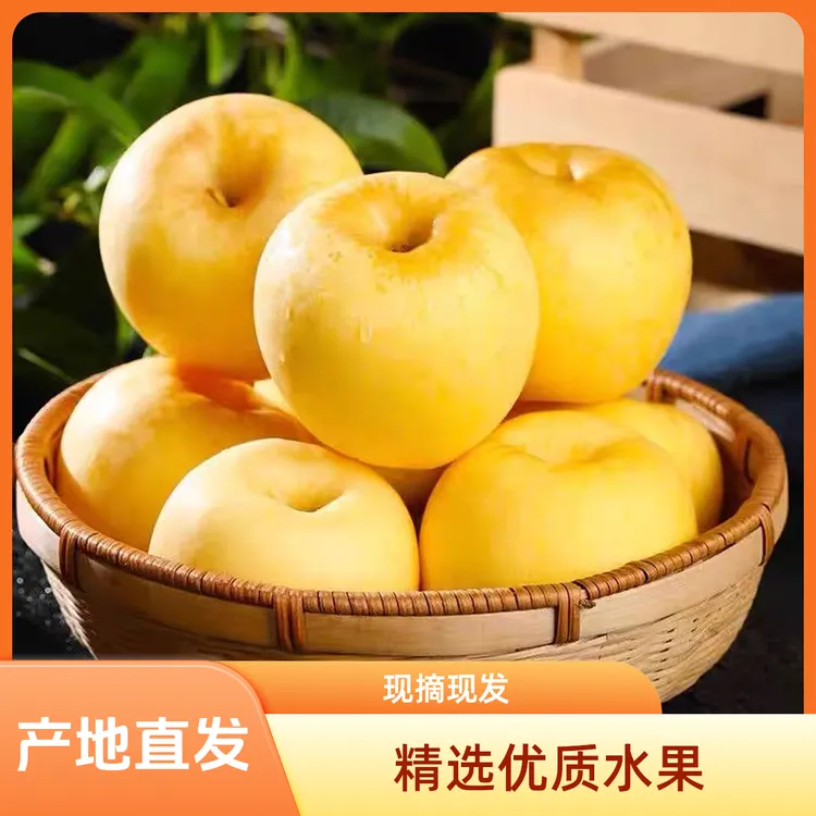 山东黄金维纳斯奶油苹果脆甜多汁果园新鲜现摘应季水果