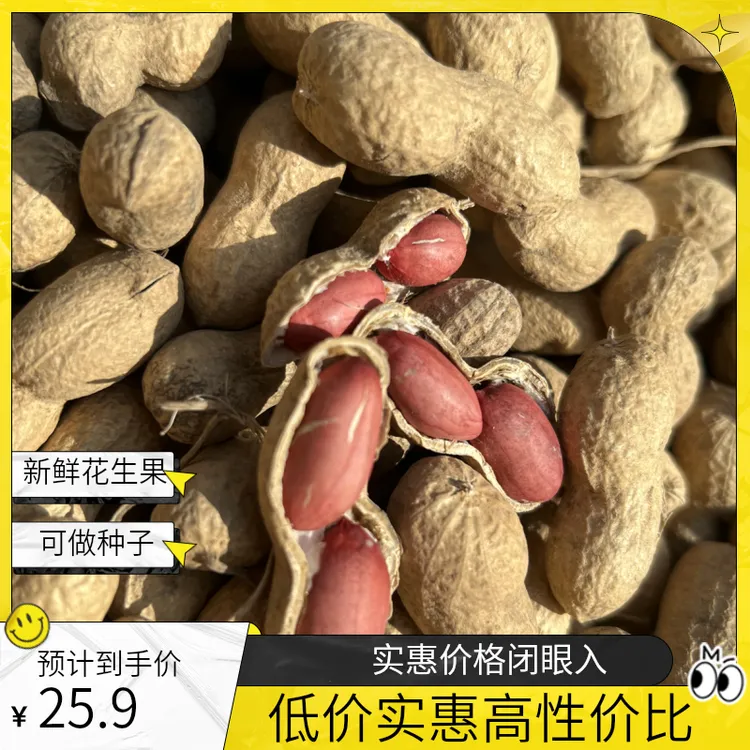 2025新鲜晒干花生果【可做种子】