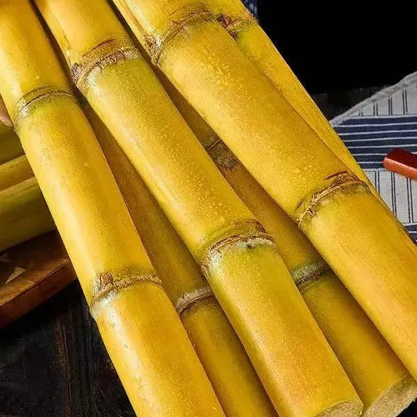 云南黄金甘蔗现砍现发脆甜多汁新鲜当季水果肉厚皮薄