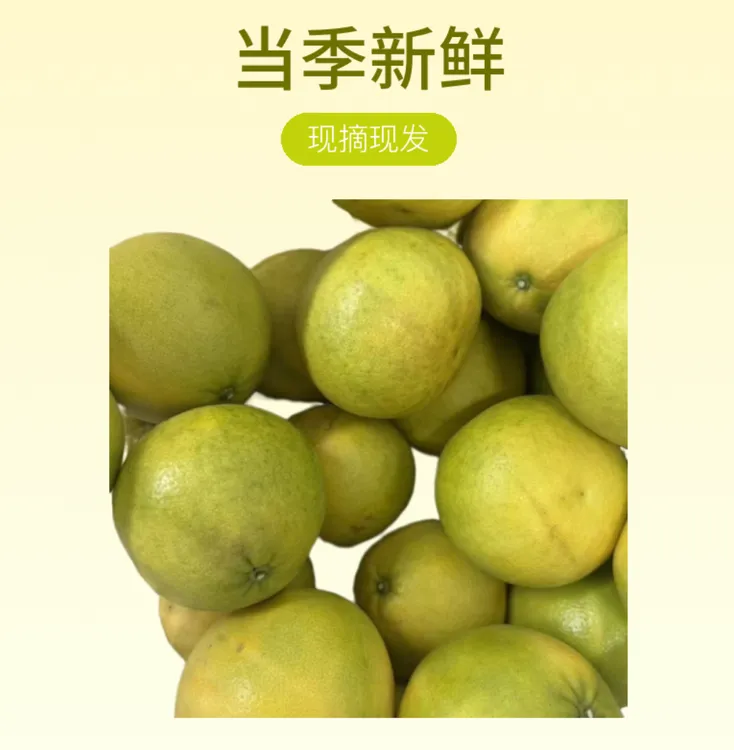 江西西柚 当季新鲜 现摘现发 水果