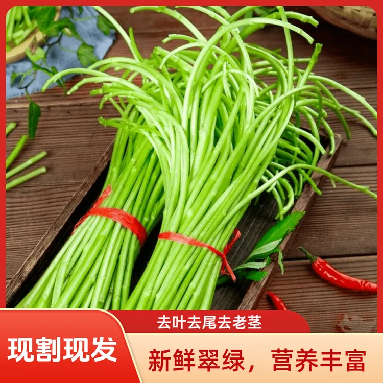 云南新鲜芦蒿黎蒿泥蒿产地直销现采现发