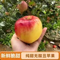 云南昭通冰糖心丑苹果新鲜脆甜当季水果纯甜爆汁