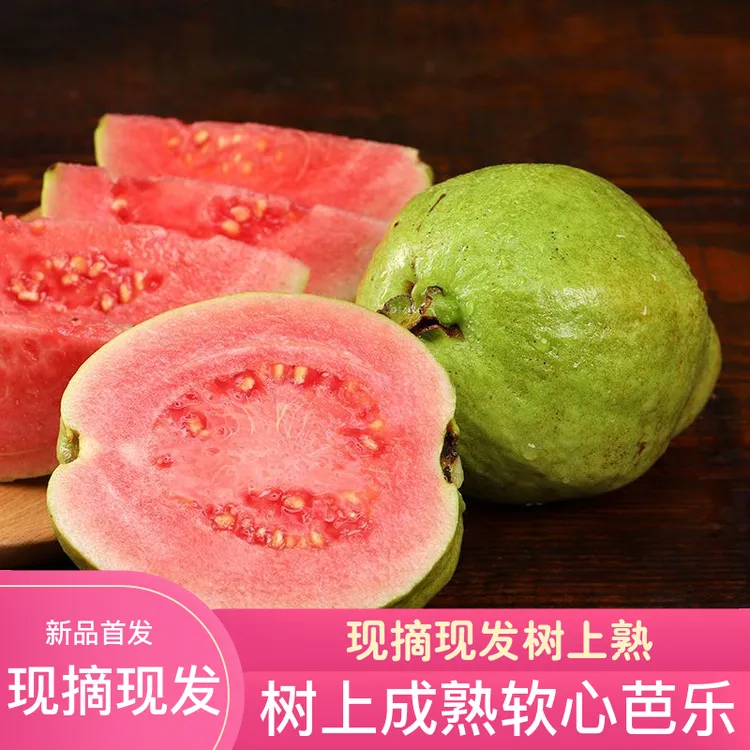 福建漳州当季红心番石榴芭乐新鲜水果