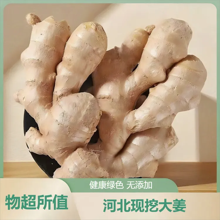 老黄姜大黄姜新鲜现挖整箱正宗水洗大姜大果风干加固包装自己挑选