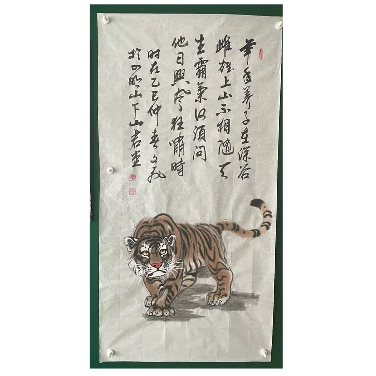 王文飞老师的小萌虎