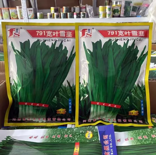 791宽叶雪韭种子小院易成活多茬采收四季种植