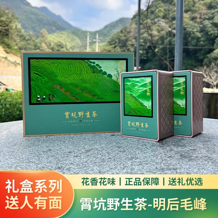 2025新茶 池州特产正宗霄坑绿茶霄坑野生茶 霄坑明后毛峰250g礼盒