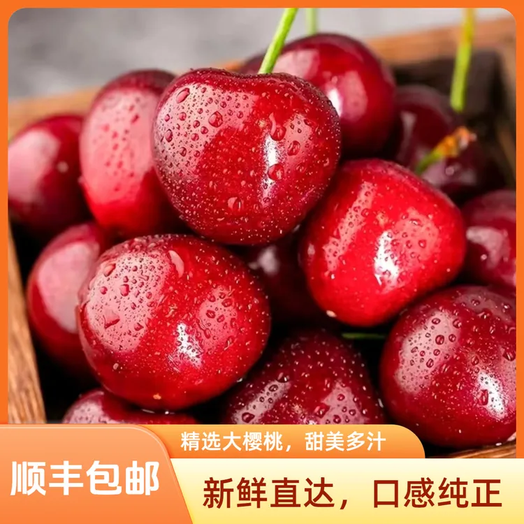 【现摘现发】正宗河南露天大樱桃新鲜采摘应季水果2/4斤产地直发