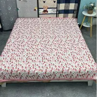 2*2.3 四季亲肤床盖《士多梨啤》