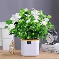 230栀子花带花苞栀子花盆栽花卉植物室内水培桌面绿植四季好养