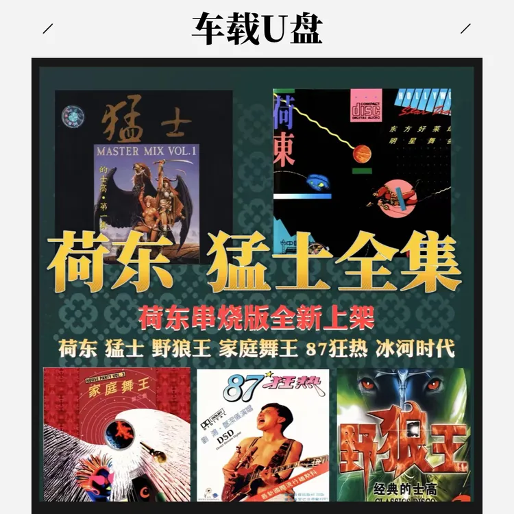 经典荷东猛士舞曲车载音乐U盘流行劲爆野狼王的士高冰河时代慢摇