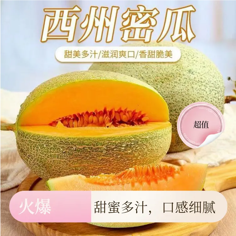 H新疆吐鲁番火焰山正宗产地哈密瓜西州25号清脆甘甜尝鲜款