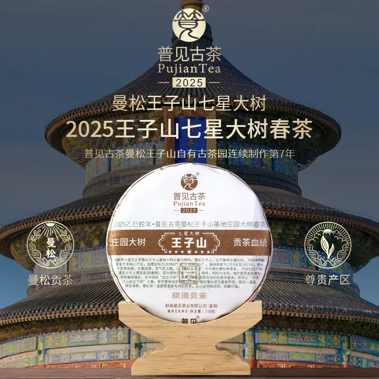 普见古茶2025年曼松王子山大树头春茶 七星大树