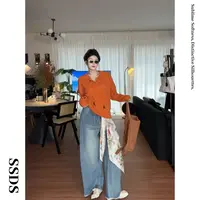 SSDS高端定制羊毛极简秋季新款休闲polo翻领多巴胺针织长袖上衣