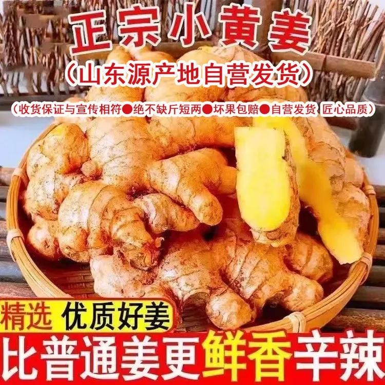 正宗山东小黄姜生姜新鲜月子姜现挖自种农家老姜表面水份晾干发货